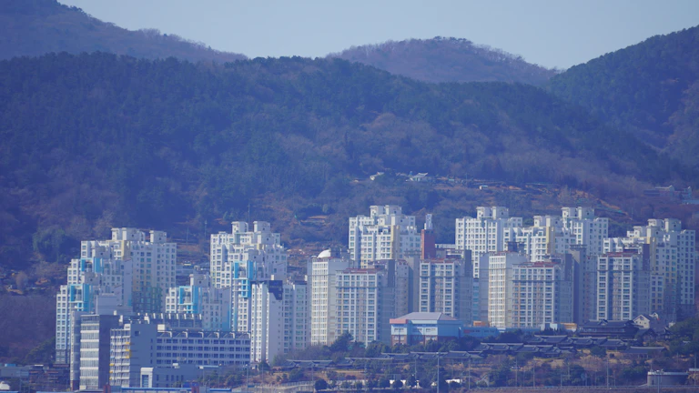 3월 법인세 감면 누락 환급받는 법 13