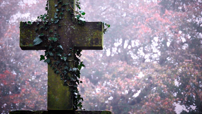 상속세 신고 전 국세청 조사 대비 체크리스트 4 장례비용 영수증과 채무 서류를 분류해 파일링한 모습