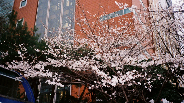 병원비 환급 늘리는 증빙·신고법 1