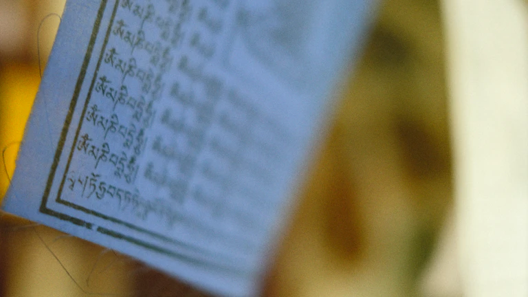 기준경비율 적용을 위한 영수증과 카드매출전표 정리 이미지