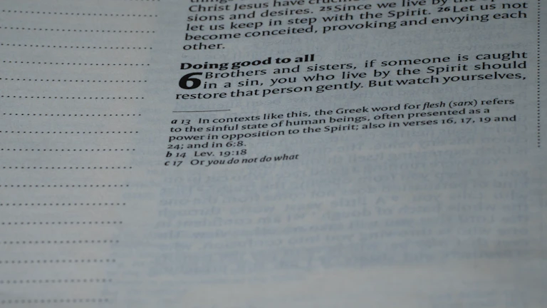 계약서·이체내역·성과물로 증빙을 갖추는 장면