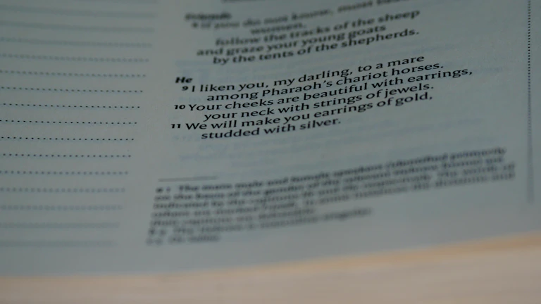 세무조사 대비를 위해 계약서와 영수증을 검토하는 장면의 이미지