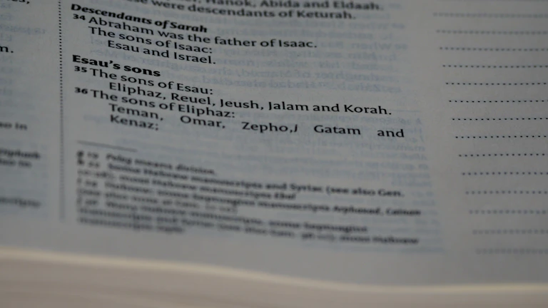 수정신고를 위해 매출자료와 통장내역을 체크리스트로 정리하는 장면