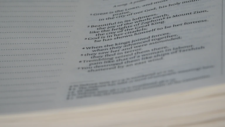 원천징수영수증과 의료비 영수증을 비교하며 누락 공제를 확인하는 장면