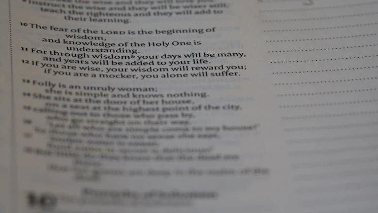 법인세 결손금 소급공제 신청 체크리스트를 확인하는 이미지