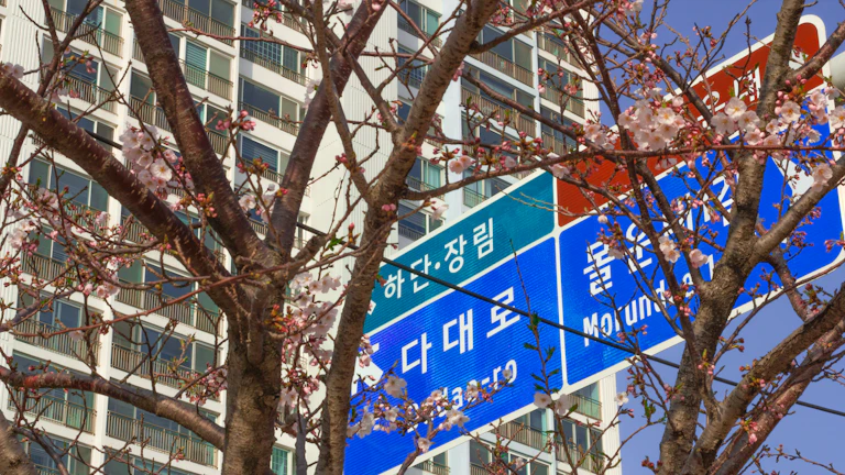 부양가족 중복공제 정정 환급받기 11