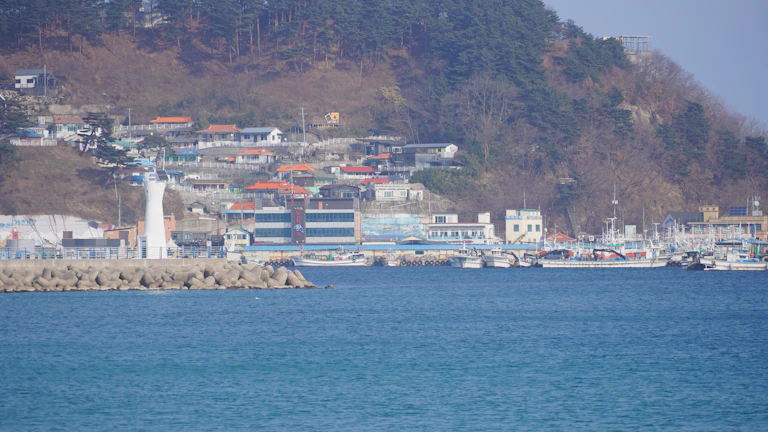 2026 법령별 중과 회피 판단기준 1