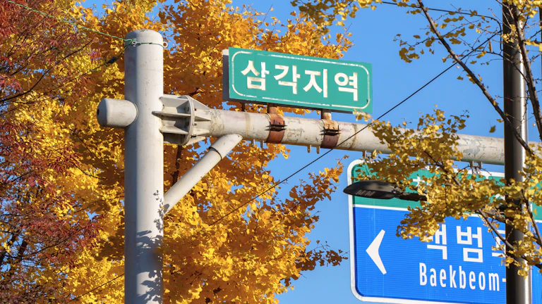 1주택 전환 비과세 시나리오 1