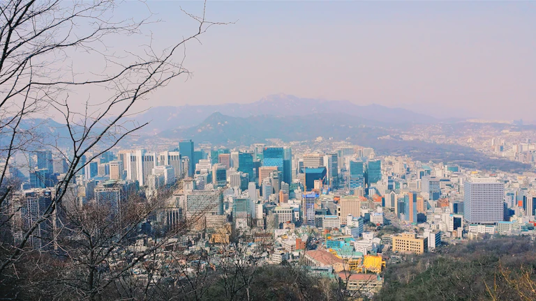 양도세 중과유예 적용여부 확인법 15
