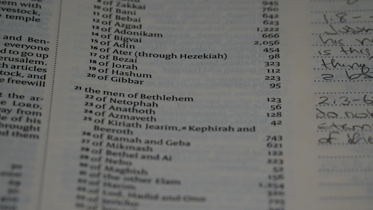 가산세 면제 신청법 11