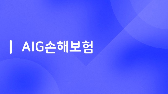 AIG손해보험