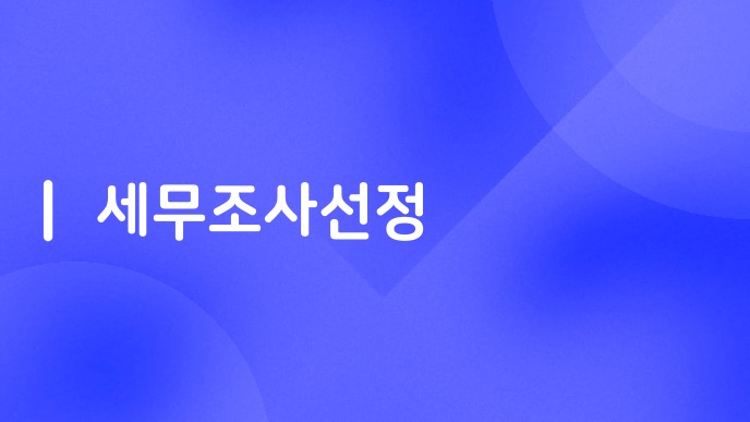 세무조사선정