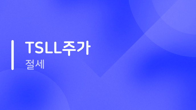 TSLL주가 절세