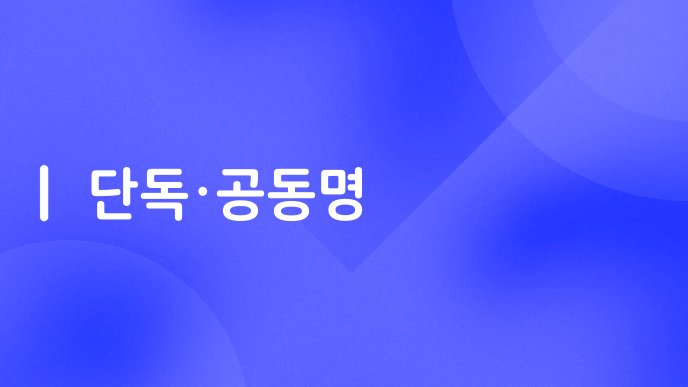 단독·공동명
