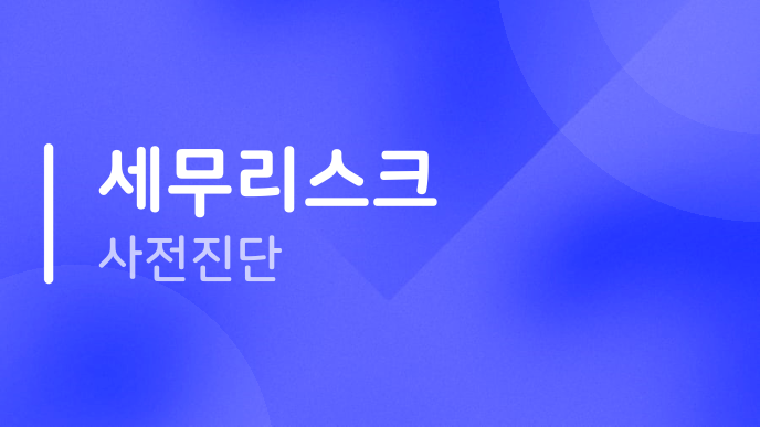 세무리스크 사전진단