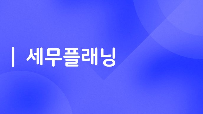 세무플래닝