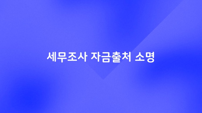 세무조사 자금출처 소명