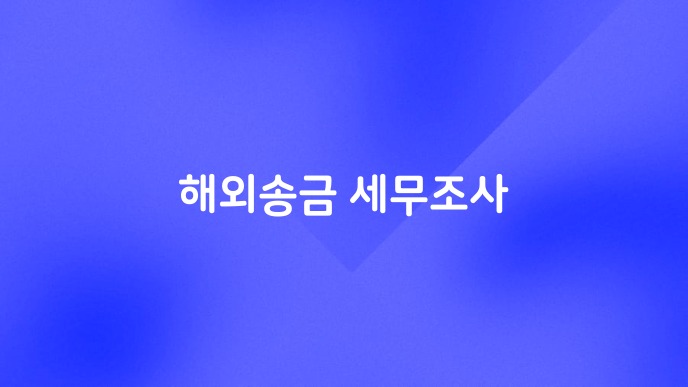 해외송금 세무조사